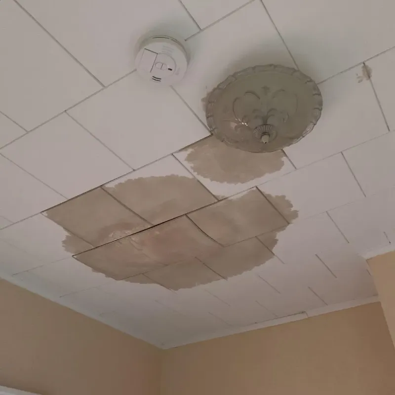 Ceiling Water Damage Repair in Crafton, PA