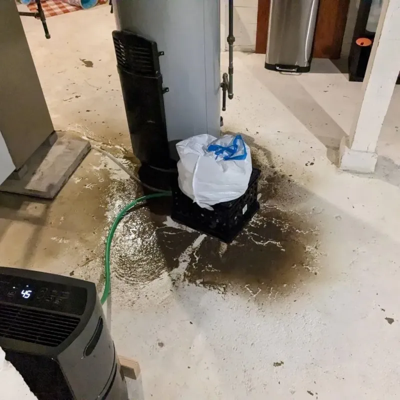 Sewage Backup Cleanup Service in Crafton, PA